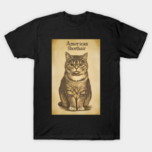 American Shorthair Cat Vintage Wall Art T-Shirt
